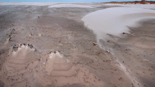 transport de sable sur la plage formant les dunes de Barchan Timelapse ZOOM IN