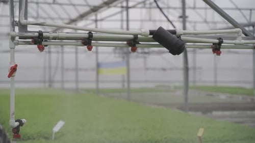 Irrigation and spraying system in the greenhouse, slow motion