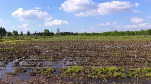 Wet Land With Muddy Tracks In The Agricultural Field. Aerial Drone Shot