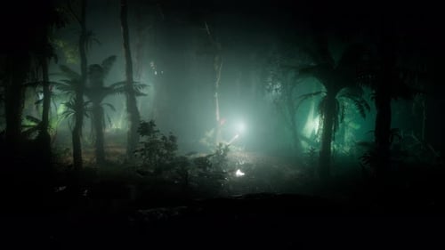 Rain Fall The Forest At Night