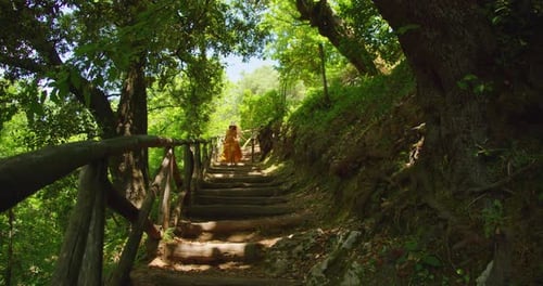 In a lush forest path a woman in a yellow dress walks down the wooden-railed steps on a sunny summer