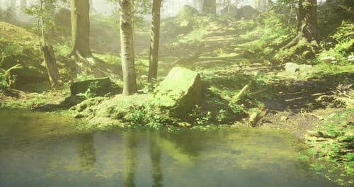 Tranquil Forest Landscape with Reflective Pond and Lush Greenery in Sunlight