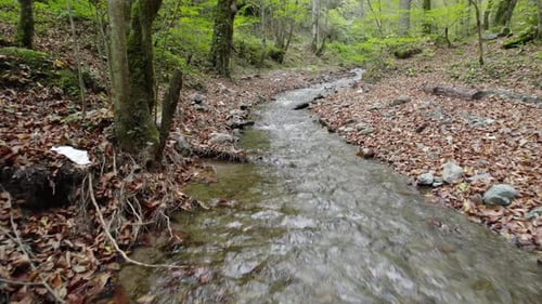 Rio pequeno