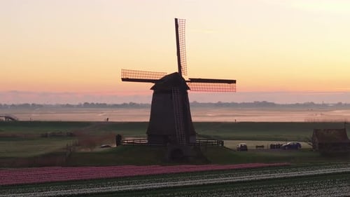 Aerial view of morning glow over windmill and flowers in Schermerhorn