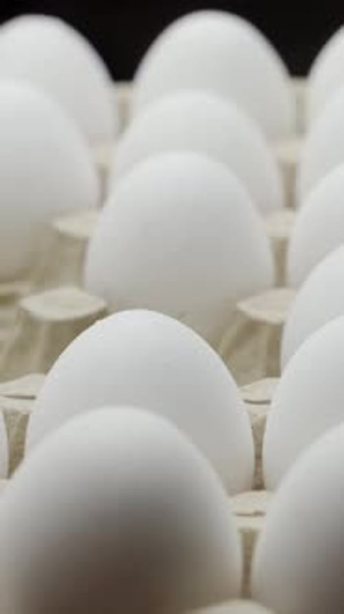 Hand takes white chicken egg. White chicken eggs in a carton. Vertical video