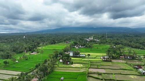 Lombok village aerial mosque dome visible among rooftops rice fields and palms