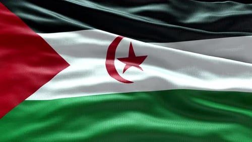 Realistic Fabric National Flag Waving Seamless Loop