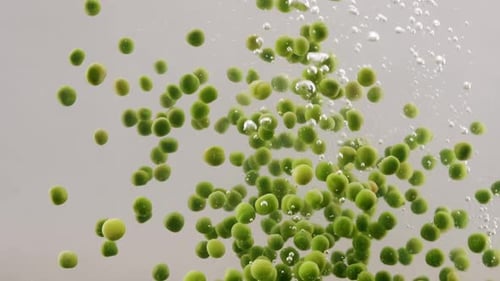 Green Peas Falling Into Boiling Water in Slow Motion