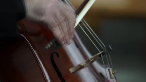 Musician hand playing cello on a classical music concert, closeup of instrumentist