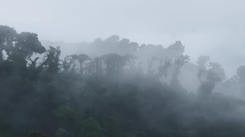 Atemberaubende Luftaufnahme der nebligen Landschaft Costa Ricas