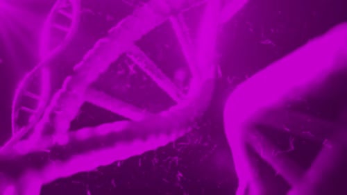 Plexus DNA Background Animation