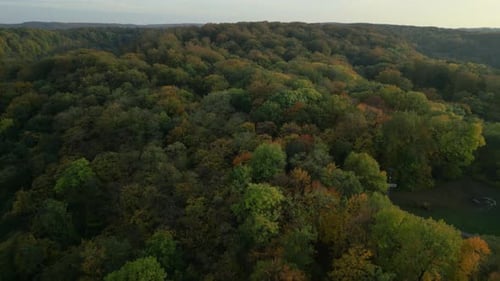 Colorful autumn forest canopy from above with scattered shades of green, orange, and yellow