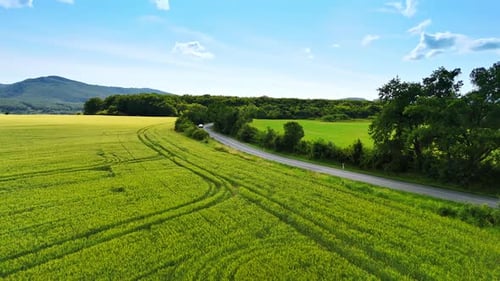 Winding road through lush green fields.