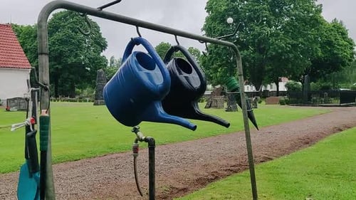 Blue and Green watering cans hanging from garden frame