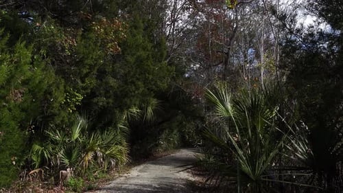 A path immersed in an incredible variety of wooded spaces, truly a place to walk!
