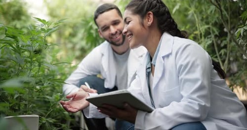 Greenhouse, talking and scientist with tablet for plant research, agriculture
