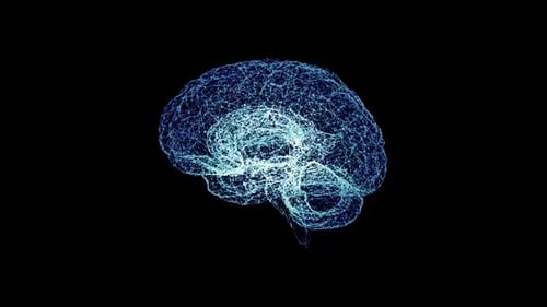 Digital brain illustration with glowing blue connections