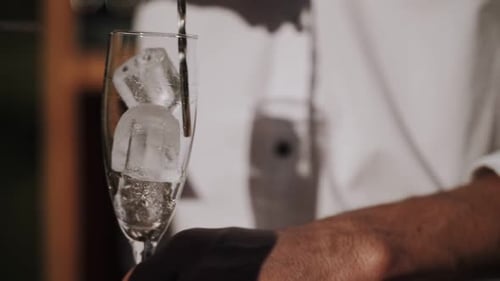 El camarero vierte hielo en el vaso