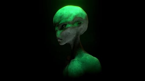 Nichtmenschliche intelligente Lebensform