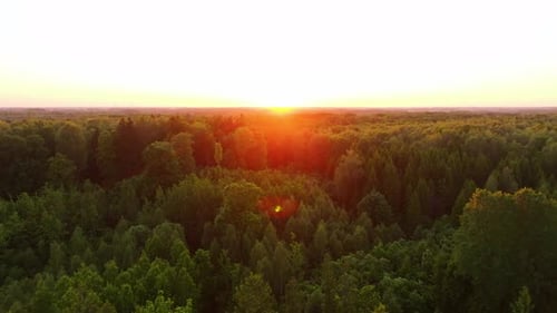 Sunset Over Forest Aerial Drone Flight Forward in Cinematic Golden Hour Scene