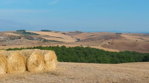 Golden Hay Bales in the Tuscan Countryside During Summer
