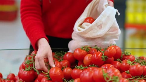 Woman picking tomatoes in a reusable bag in a store. Ecology and Earth Day thematics