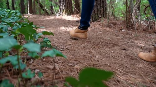 Low angle view of a forest trail when a young woman's shoes come into view along the pathway - tilt
