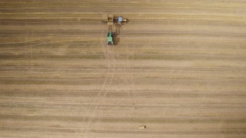 Aerial top down of farmer in harvester machinery cutting on wheat field and loading on tractor trail