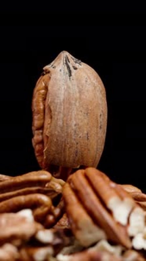 Vertical video. Pecan in a cracked shell spinning atop a pile of nuts on a black background.