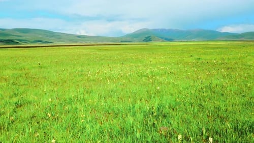 Aerial view of alpine meadows and mountains