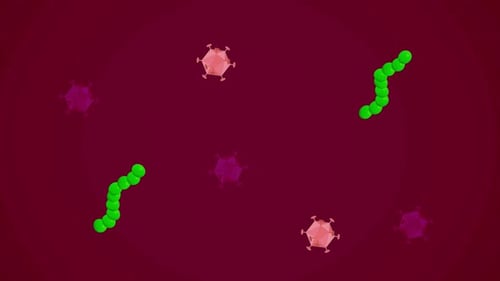 Animated Microorganisms and Bacteria Cells in Bloodstream