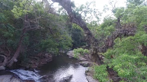 Aerial beautiful river water