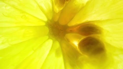 Captivating macro video showcasing half green lemons, their intricate textures