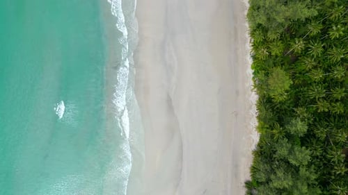 Idyllic Tropical Beach with Palms White Sand and Crystal Clear Turquoise Water