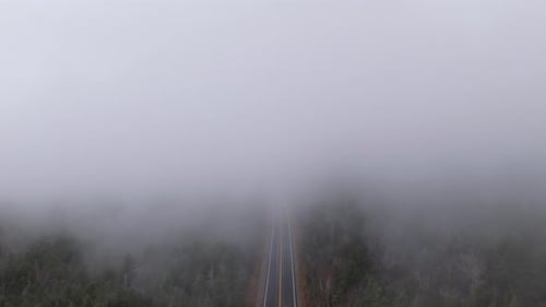 A Misty Road That Wind Through the Thick Fog An Enchanting and Scenic View to Enjoy