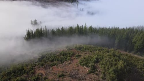Panoramalandschaft mit Bergen im Regenwald und Wolken mit Nebel in Chile