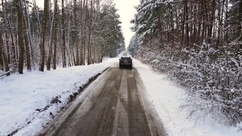 Drone Follows SUV Car Driving on Winter Road Through Frozen Mixed Wood with Pine Trees