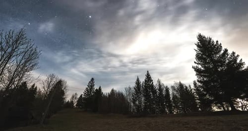 Nachthimmel mit Sternen und Wolken, die sich im Mondlicht über den Wald bewegen, Zeitraffer