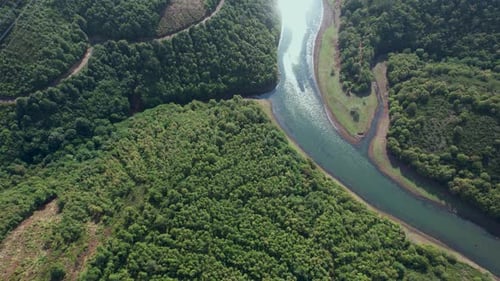 Luftfluss und Wald