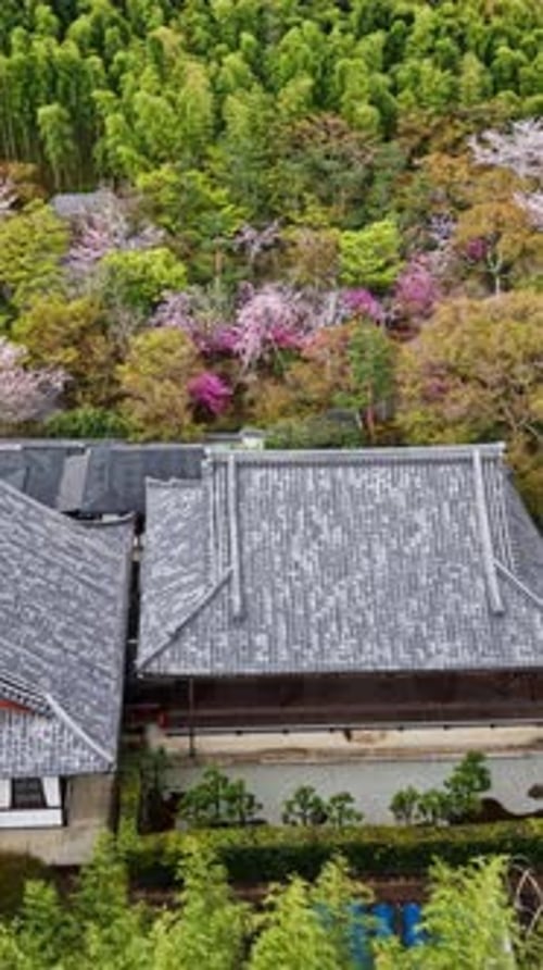 Aerial drone view of a temple surrounded by cherry blossom in Kyoto, Japan