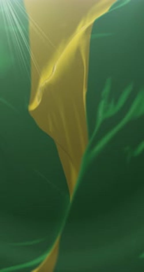 Vertical Waving Green and Yellow Flag Fabric Background