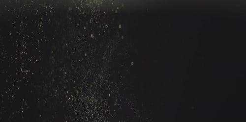 Organic Dust Particles