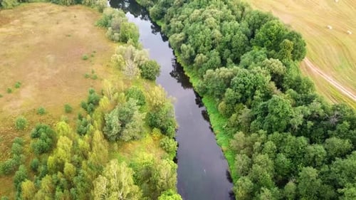 The Beautiful Nature Of The Luchos River 07