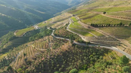 Car on Road in Douro Valley Portugal Aerial View