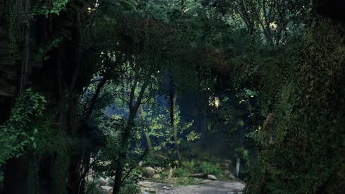 Forest Landscape With Soft Haze
