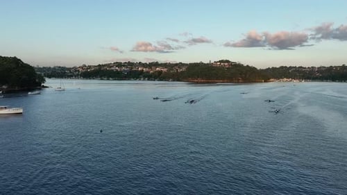Fleet of row boats rowing towards drone