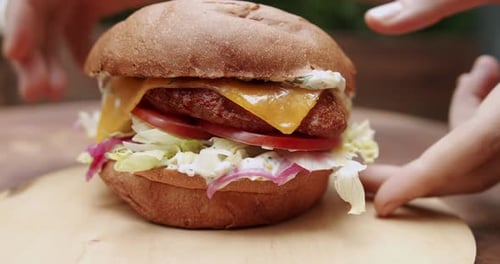 Delicious Burger with Cheese, Lettuce and Tomato