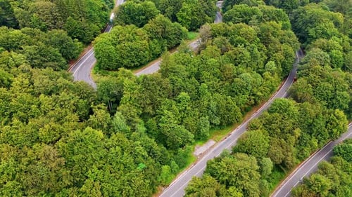 Winding road through green trees in a rural area on a sunny day.