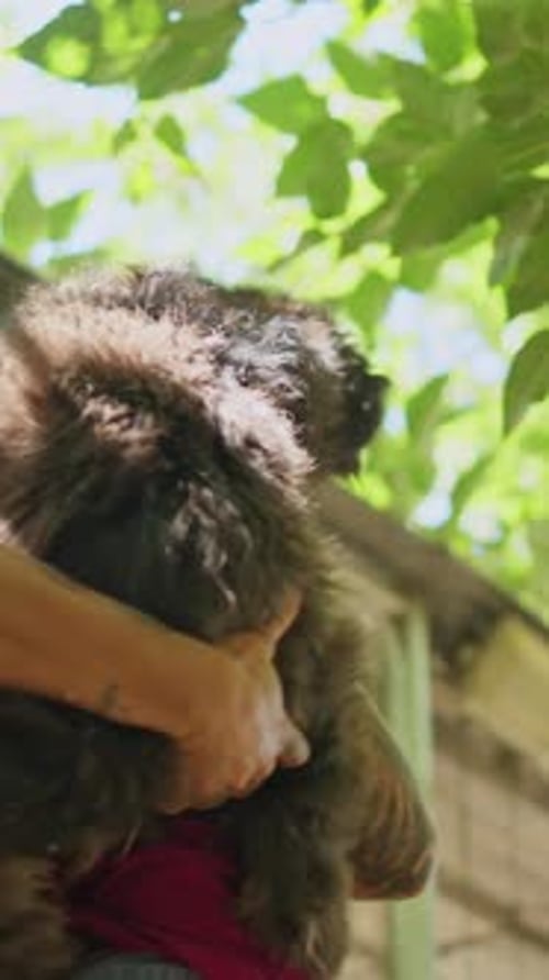 Woman Holds and Pets a Dog in a Forest