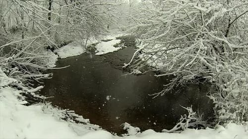 Creek flows through snow-covered wooded landscape as snow falls.